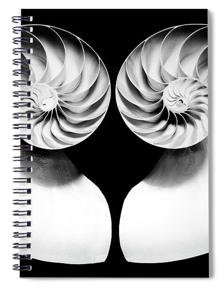 D6-s-7511-b2 Spiral Notebook featuring the photograph Nautilus Shell Halves - bw by Paul W Faust - Impressions of Light