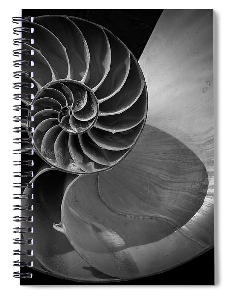Black And White Spiral Notebook featuring the photograph Nautilus Shell V BW by David Gordon