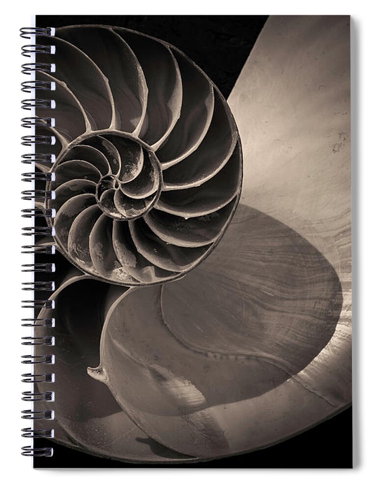  Black And White Spiral Notebook featuring the photograph Nautilus Shell V Toned by David Gordon