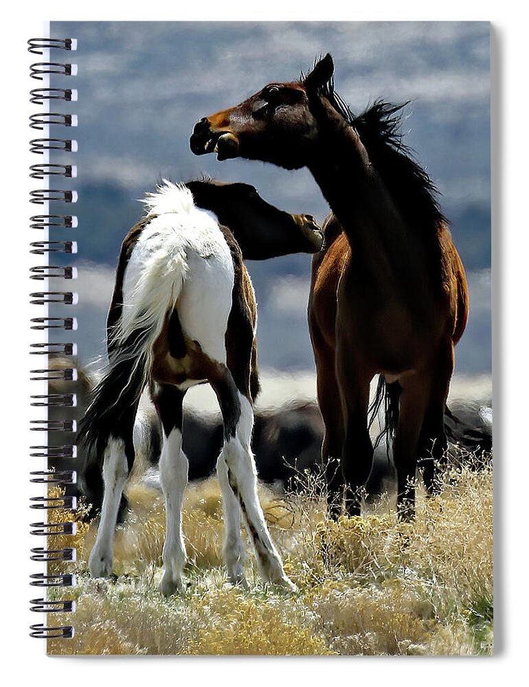 Utah Spiral Notebook featuring the photograph Neck To Neck, Onaqui Wild Horse by Jennifer Robin