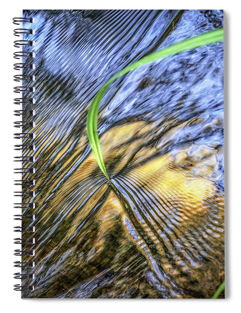 Needle Spiral Notebook featuring the photograph Needle on reflective creek by Donald Kinney