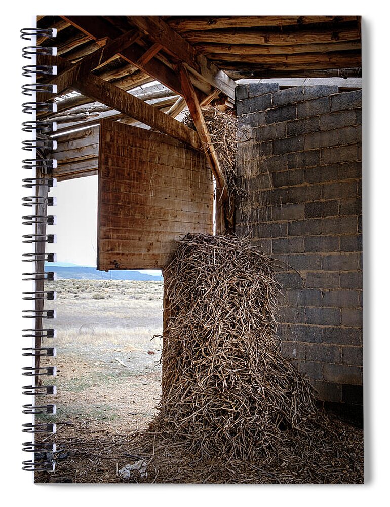 Colorado Spiral Notebook featuring the photograph Nest of the Ancient Raven by Mary Lee Dereske