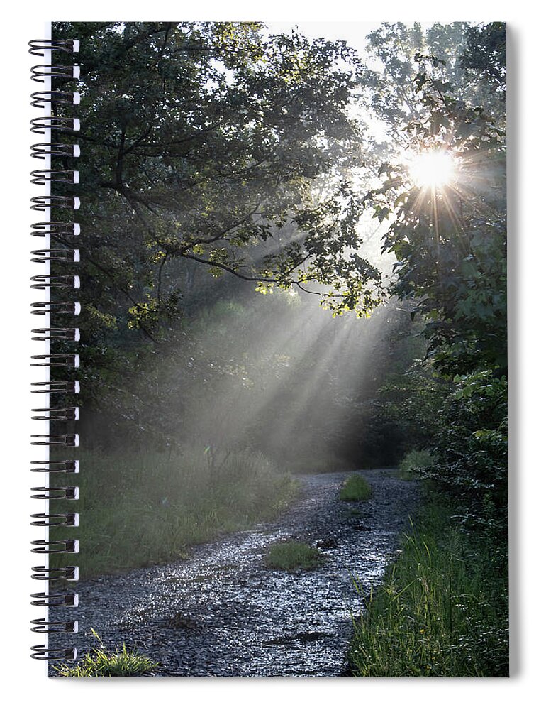 Trees Spiral Notebook featuring the photograph New Beginnings by Elaine Malott
