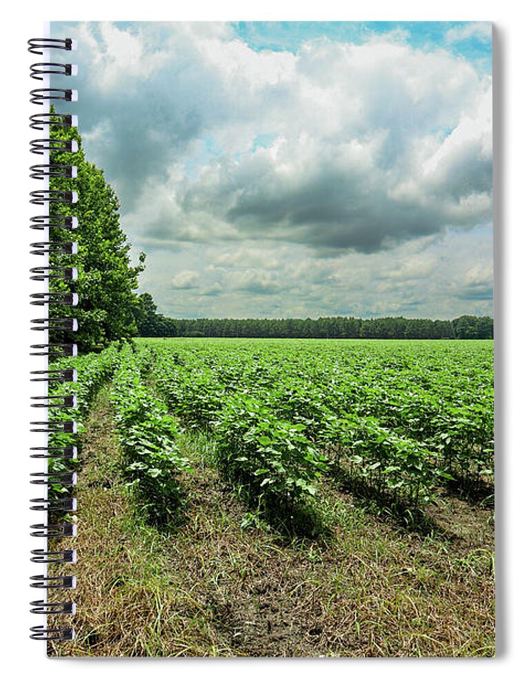 Statesboro Spiral Notebook featuring the photograph New Cotton Corner Rows by Ed Williams