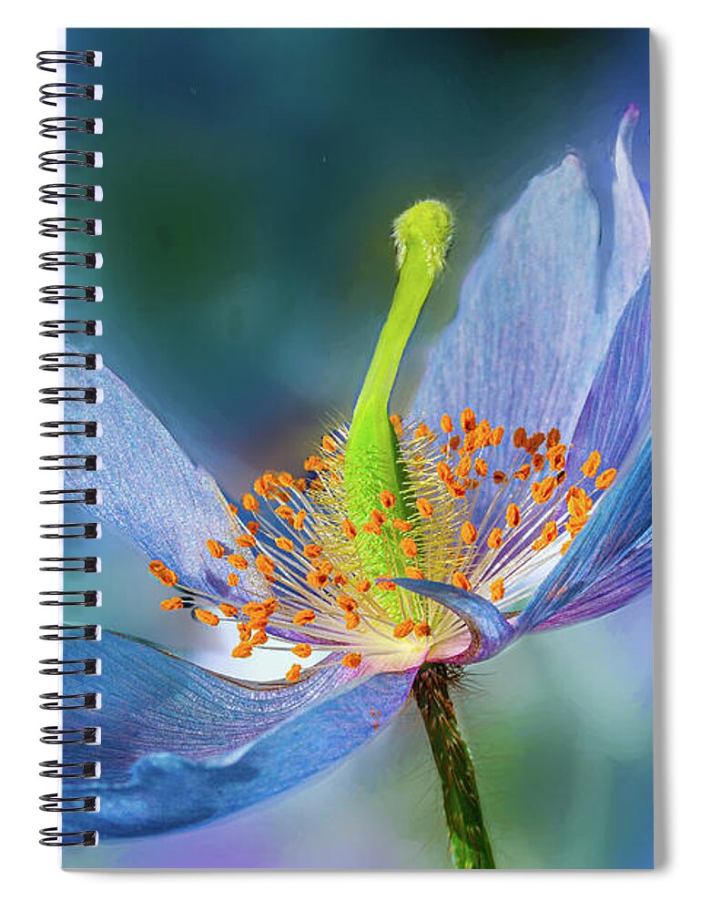 Conservatories Spiral Notebook featuring the photograph New Day Flower by Marilyn Cornwell