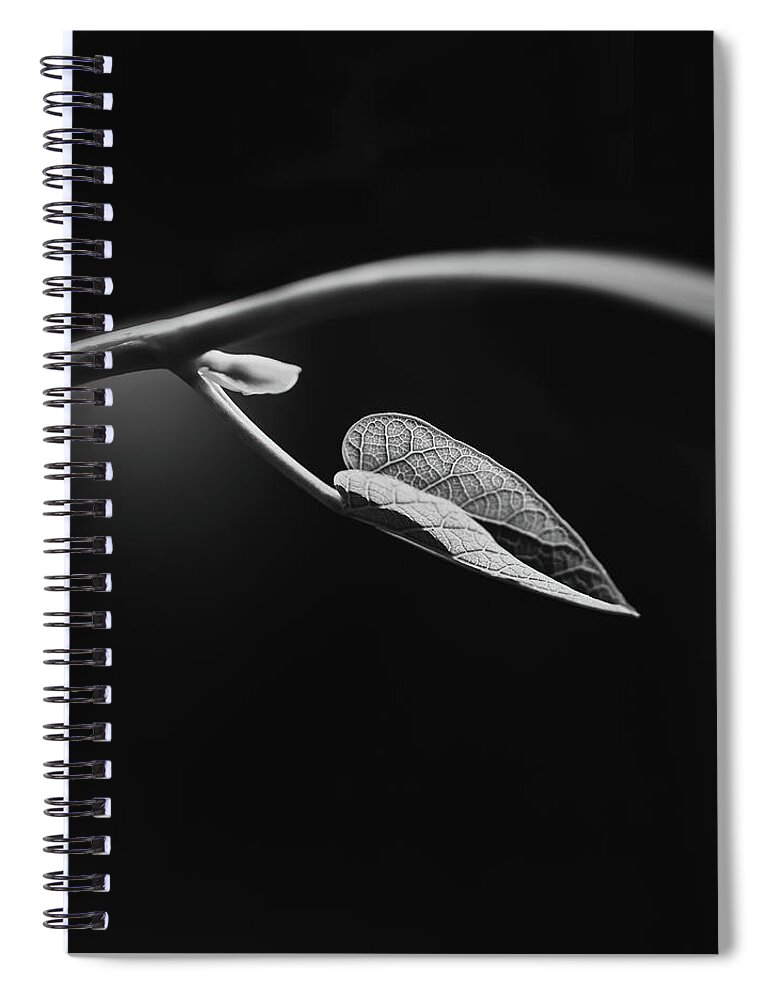 Black And White Spiral Notebook featuring the photograph New Growth by Laura Roberts