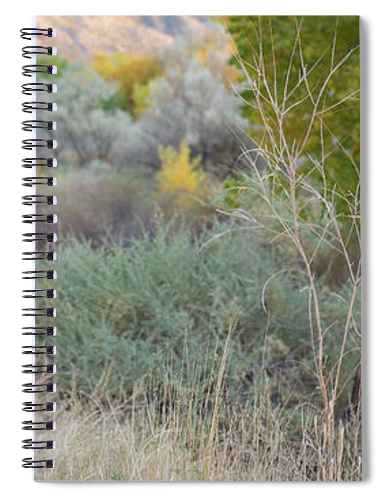 Fall Spiral Notebook featuring the photograph New Mexico Fall by Jennifer Kane Webb