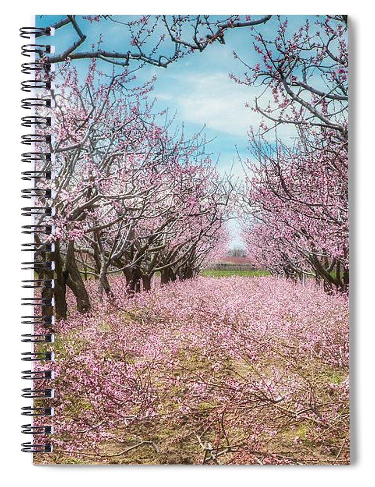 Blossoms Spiral Notebook featuring the photograph Niagara's Blossom Trail - Enclosed by Marilyn Cornwell