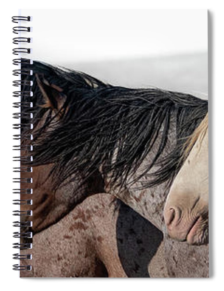 Panorama Spiral Notebook featuring the photograph Norman and Friends by Mary Hone