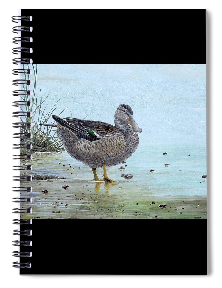 Northern Shoveler Spiral Notebook featuring the painting Northern Shoveler Female by Barry Kent MacKay