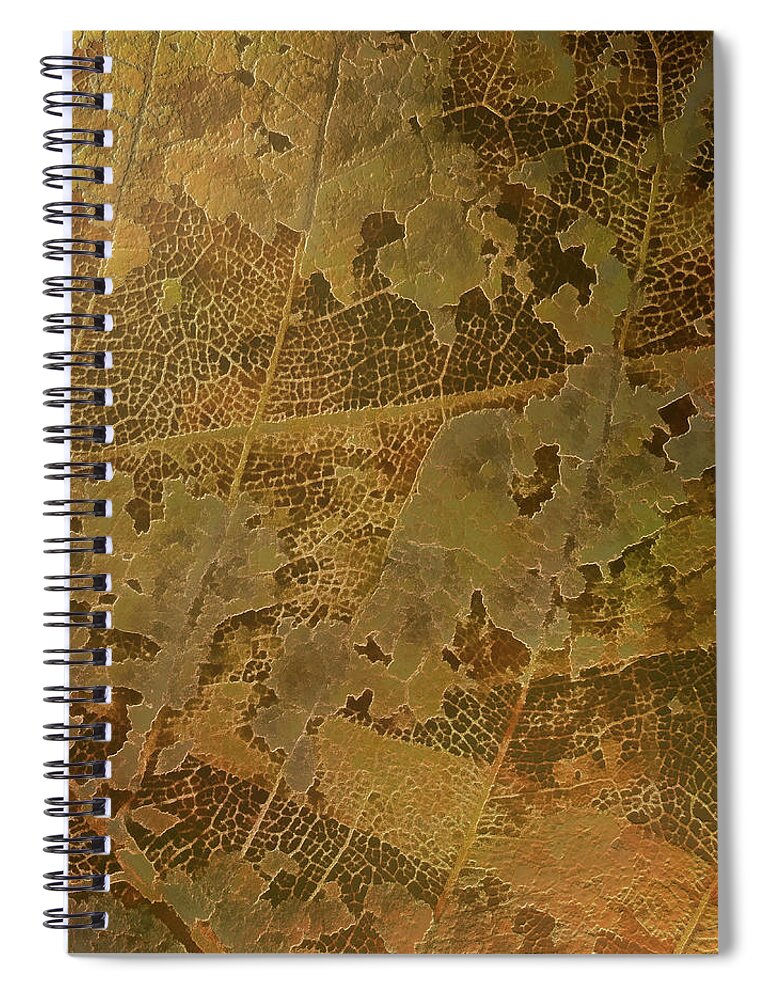 Susaneileenevans Spiral Notebook featuring the photograph Not Quite Real Gold by Susan Eileen Evans