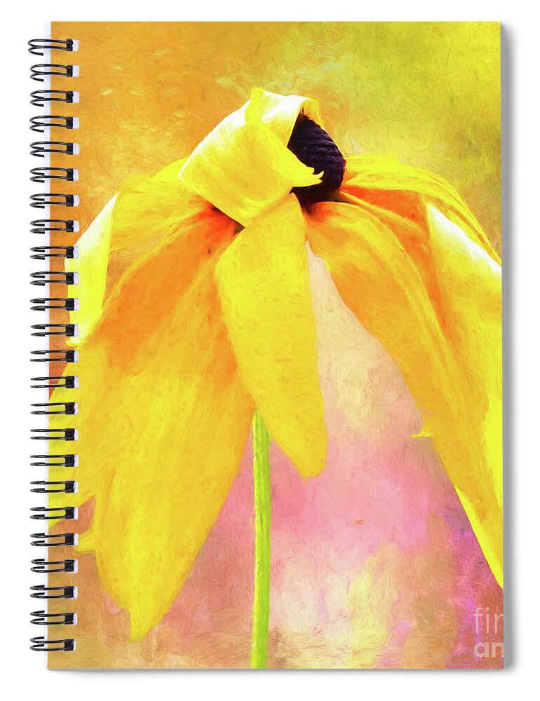 Bruce Freeman Rail Trail Spiral Notebook featuring the photograph I Will Dance But I Won't Show My Face by Anita Pollak