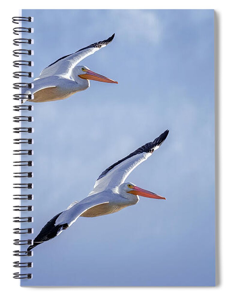 Arboretum Spiral Notebook featuring the photograph Nsync by Rick Furmanek