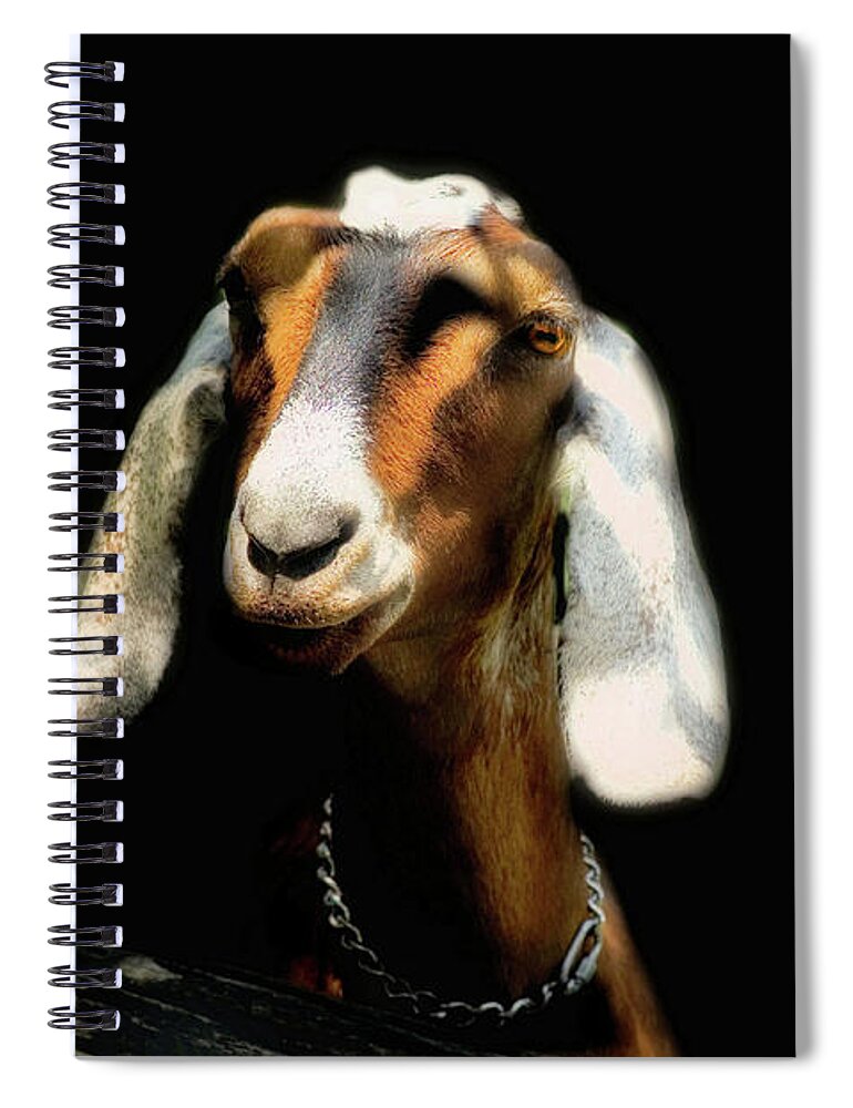 Goat Spiral Notebook featuring the photograph Nubian Goat by Elaine Manley