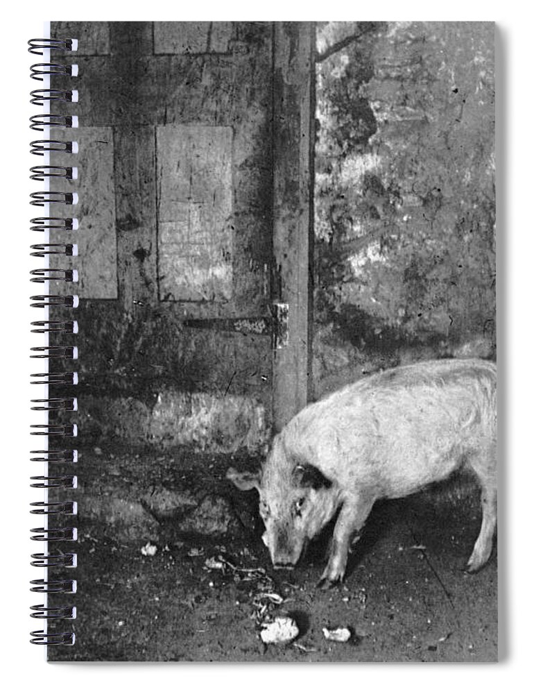 1892 Spiral Notebook featuring the photograph NYC Tenement, 1892 by Jacob Riis