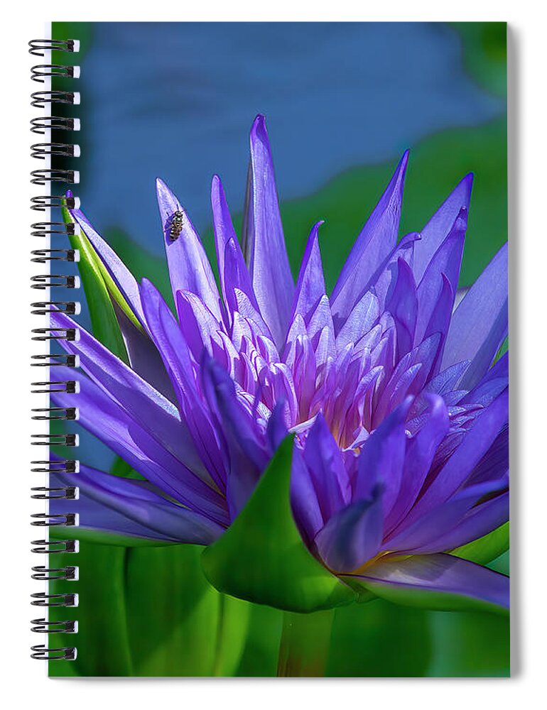 Nature Spiral Notebook featuring the photograph Nymphaea Water Lily DTHN0316 by Gerry Gantt