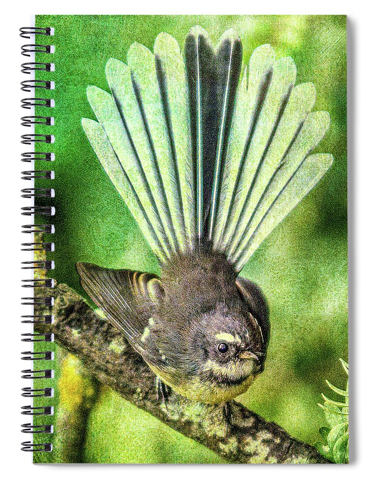 Bird Spiral Notebook featuring the photograph N.Z. Fantail 2 by Roseanne Jones