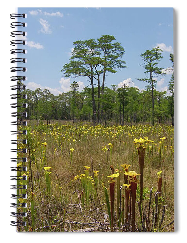 Pitcher Spiral Notebook featuring the photograph O Sarracenia by Paul Rebmann