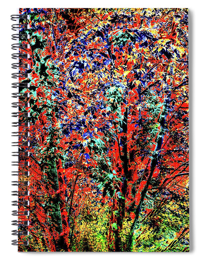 Joe Hoover Spiral Notebook featuring the digital art Oak Creek Canyon Fall Tree by Joe Hoover