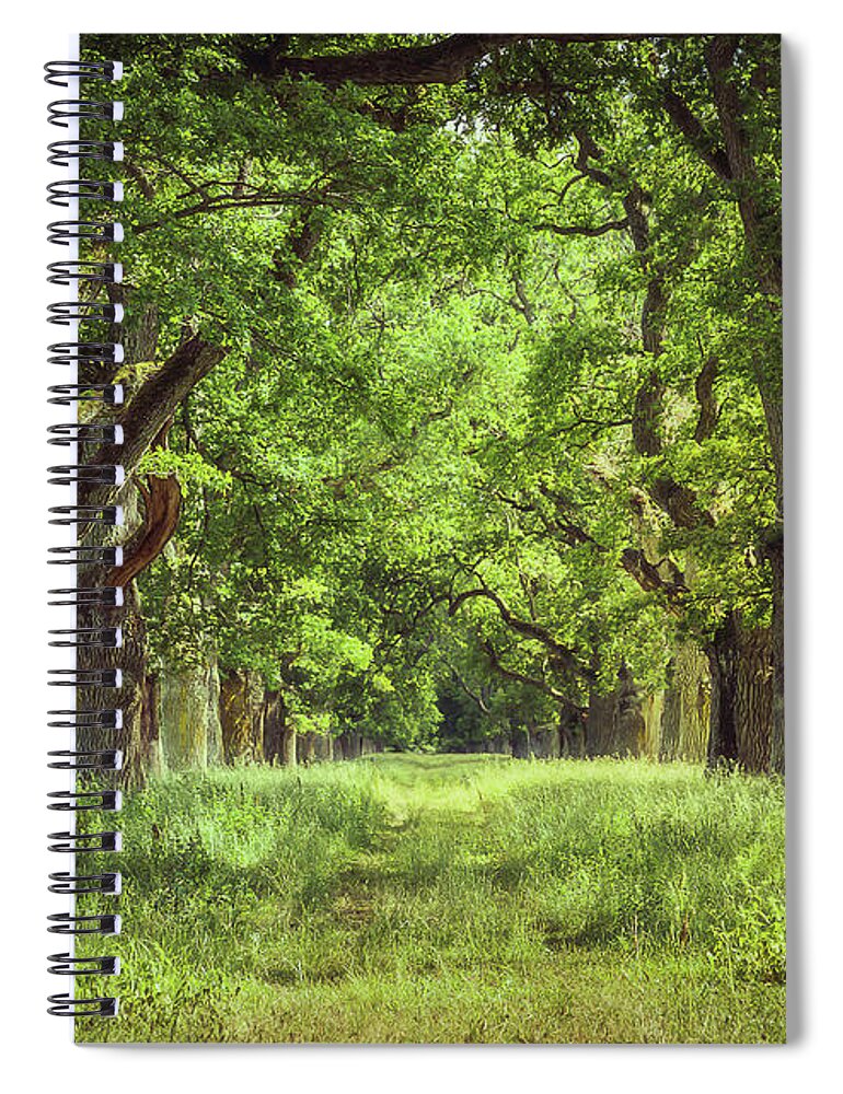 Oak Spiral Notebook featuring the photograph Oak Tree Alley by Nicklas Gustafsson
