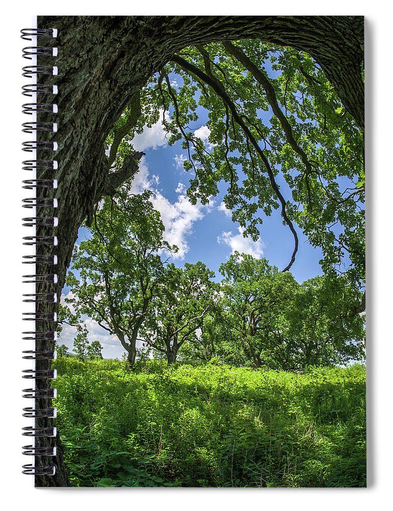 Oak Spiral Notebook featuring the photograph Oak Tree Zen by Peter Herman