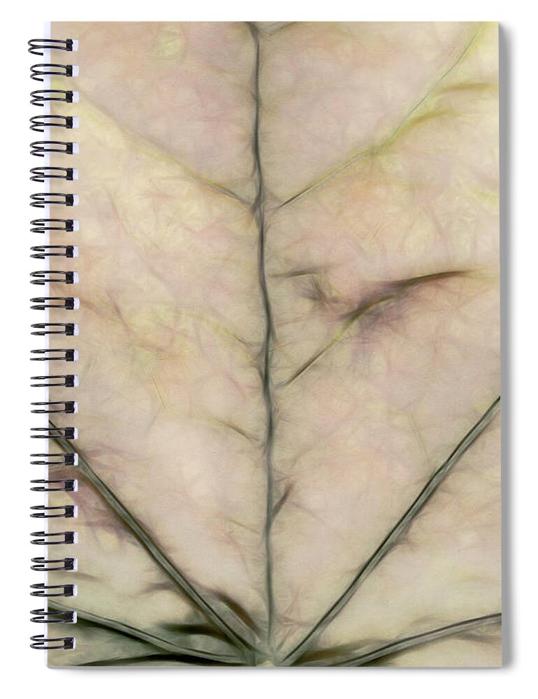 Beige Spiral Notebook featuring the photograph Oatmeal by Elaine Teague