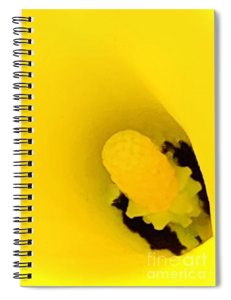 Obrigado Spiral Notebook featuring the photograph Obrigado Gratia Grazie by Tiesa Wesen