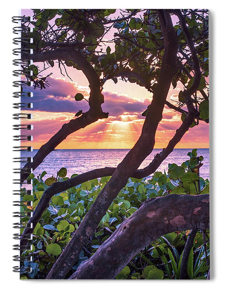 Beach Spiral Notebook featuring the photograph Ocean View Through Seagrape Trees by Laura Fasulo