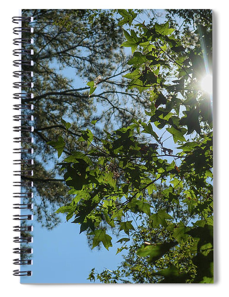 Forest Spiral Notebook featuring the photograph Ocmulgee Forest Skies by Ed Williams