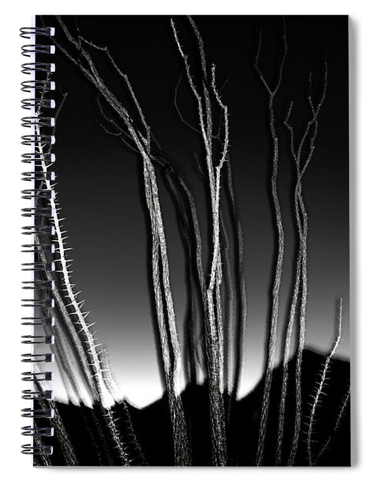 Arizona Spiral Notebook featuring the photograph Ocotillo and the Edge of Day BW by Joseph Philipson