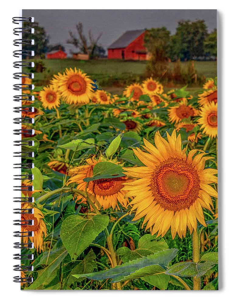 Tennessee Spiral Notebook featuring the photograph Oh, Happy Day by Marcy Wielfaert