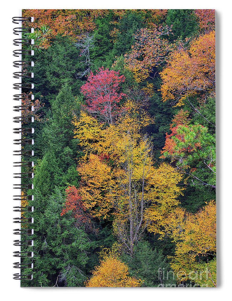 Autumn Spiral Notebook featuring the photograph Ohio Autumn by Karen Adams