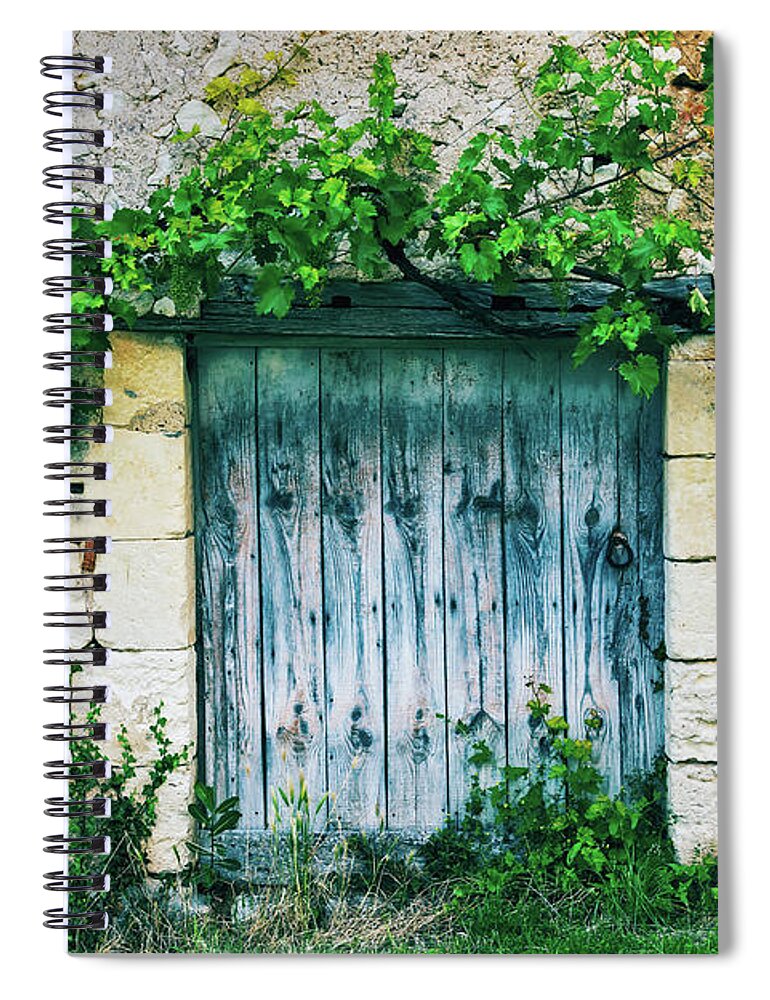 Door Spiral Notebook featuring the photograph Old door with vine by Delphimages Photo Creations