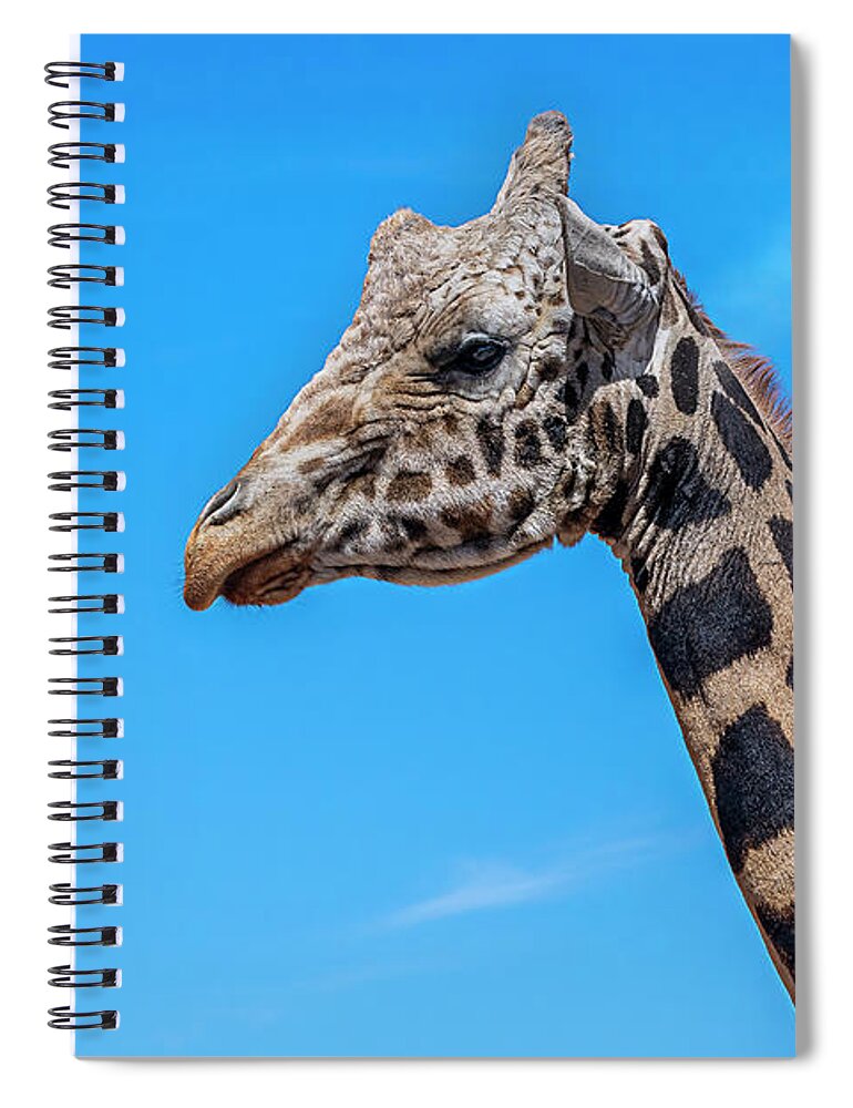  Spiral Notebook featuring the photograph Old Giraffe by Al Judge