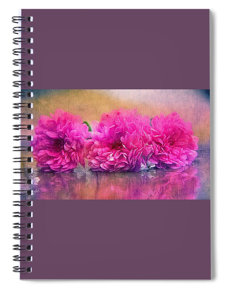 Mums Spiral Notebook featuring the photograph Old Master Mums by Rene Crystal