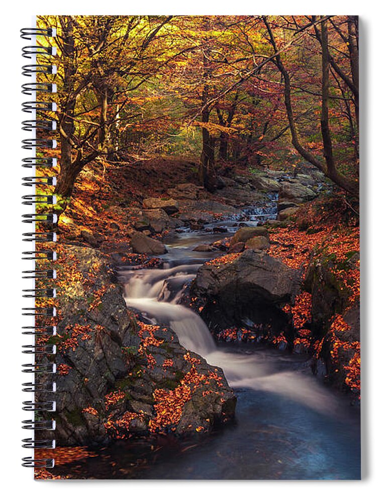Mountain Spiral Notebook featuring the photograph Old River by Evgeni Dinev