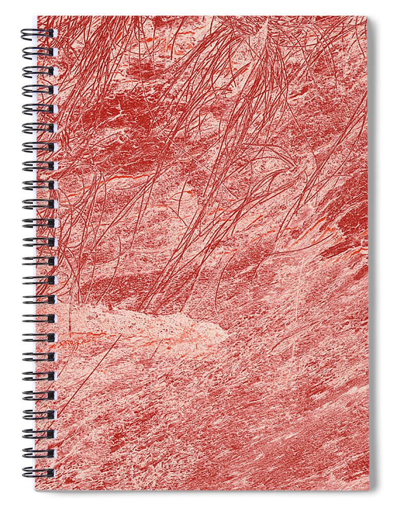 Hawaii Spiral Notebook featuring the digital art Old Tree Trunk, In Peach by David Desautel