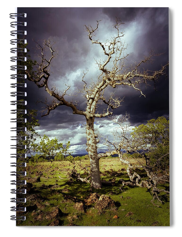 Nature Spiral Notebook featuring the photograph Ominous Oak by Mike Lee