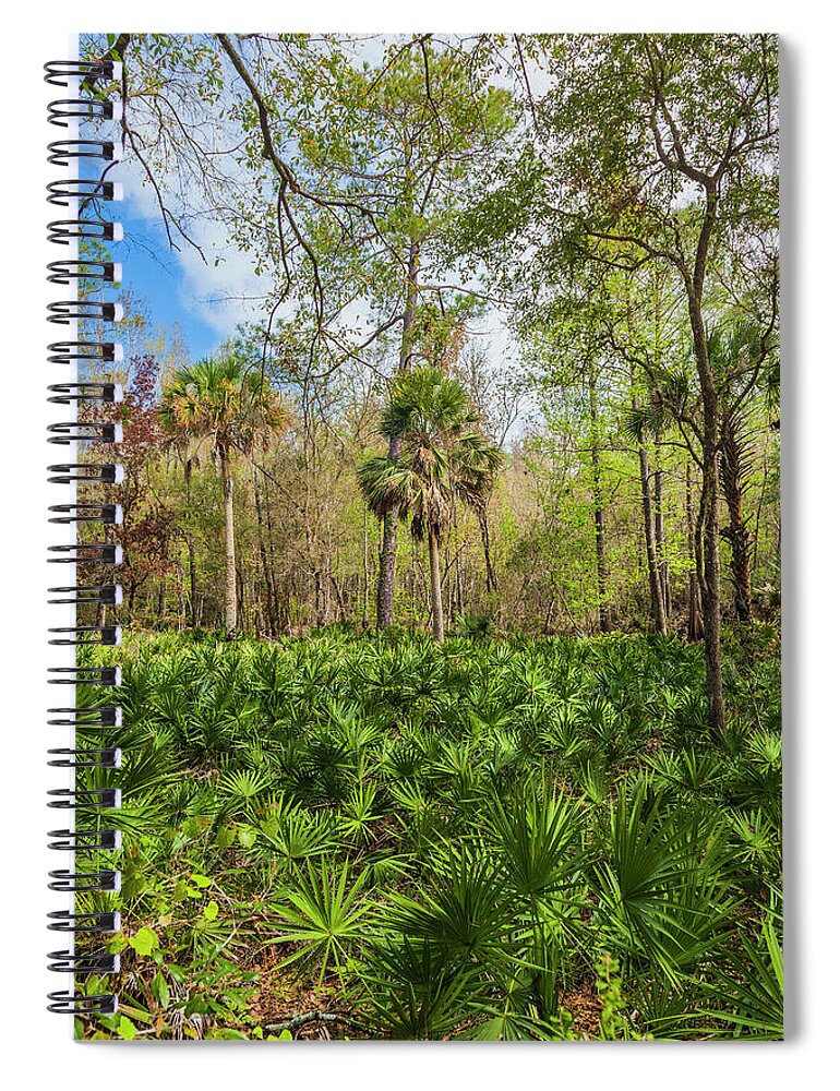 Florida Spiral Notebook featuring the photograph On a Florida Hike - 1 by W Chris Fooshee