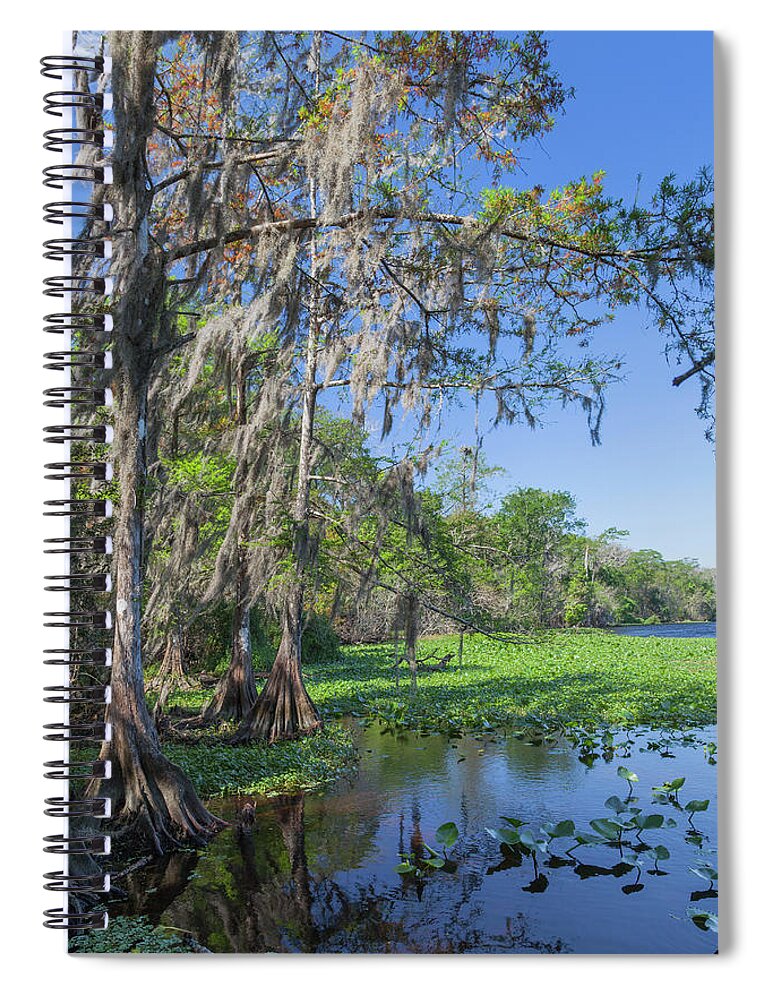 Florida Spiral Notebook featuring the photograph On a Florida Hike - 4 by W Chris Fooshee