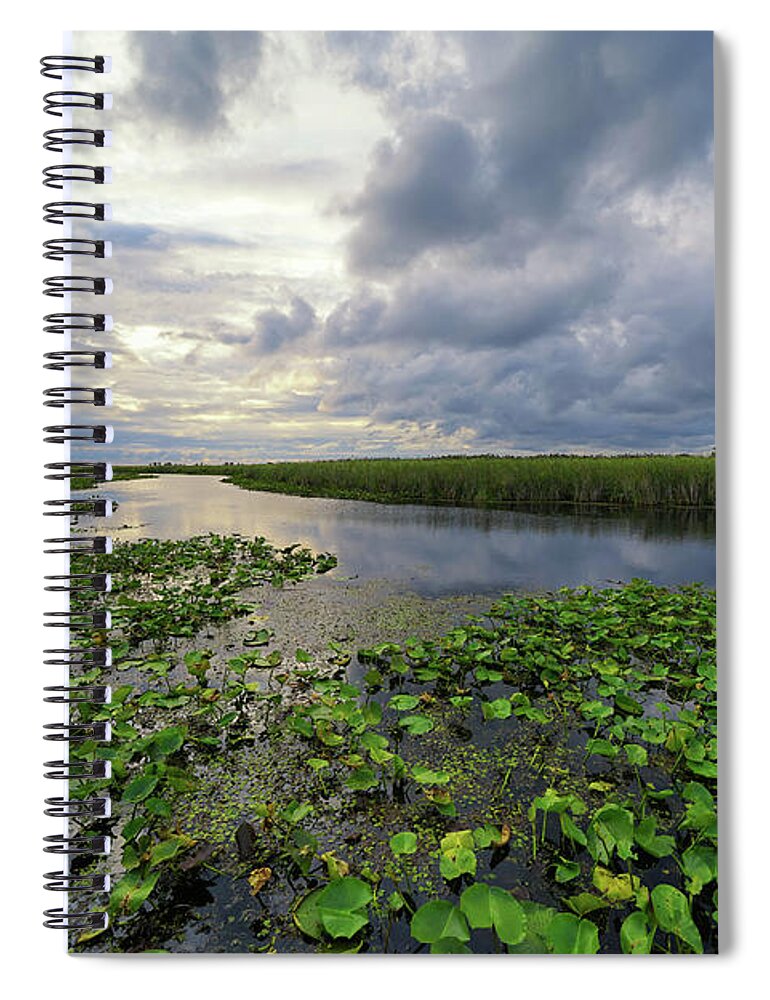 On A Quiet Marsh Morning Spiral Notebook featuring the photograph On A Quiet Marsh Morning by Rachel Cohen
