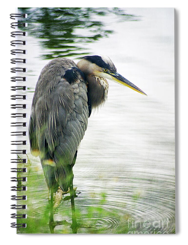Great Blue Heron Spiral Notebook featuring the photograph On Guard by Hilda Wagner
