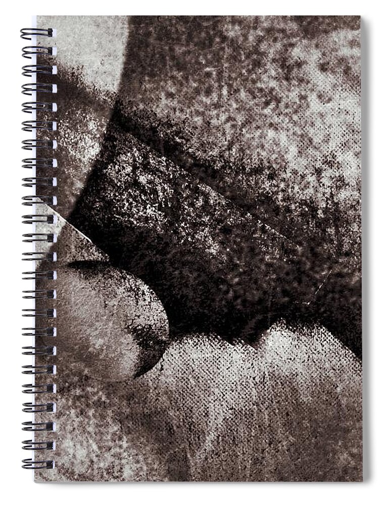 On The Cutting Board Spiral Notebook featuring the photograph On the Chopping Block by Alina Oswald