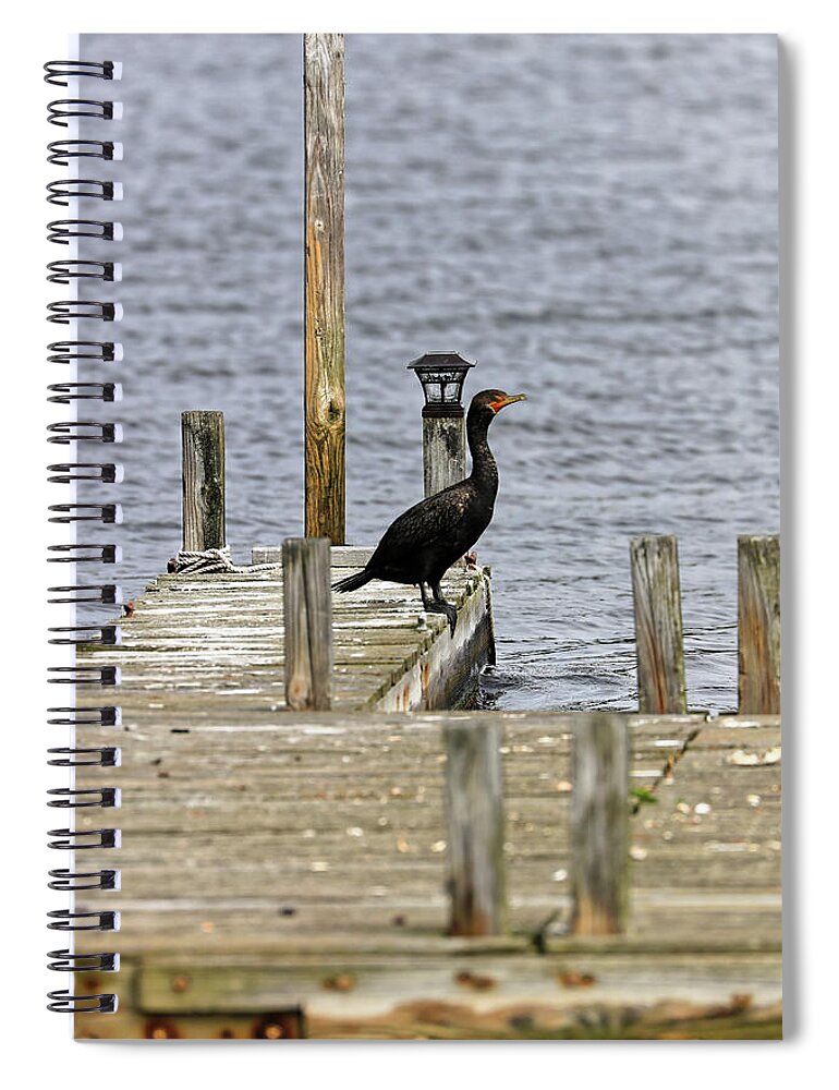 Bird Spiral Notebook featuring the photograph Cormorant On The Dock by Doolittle Photography and Art