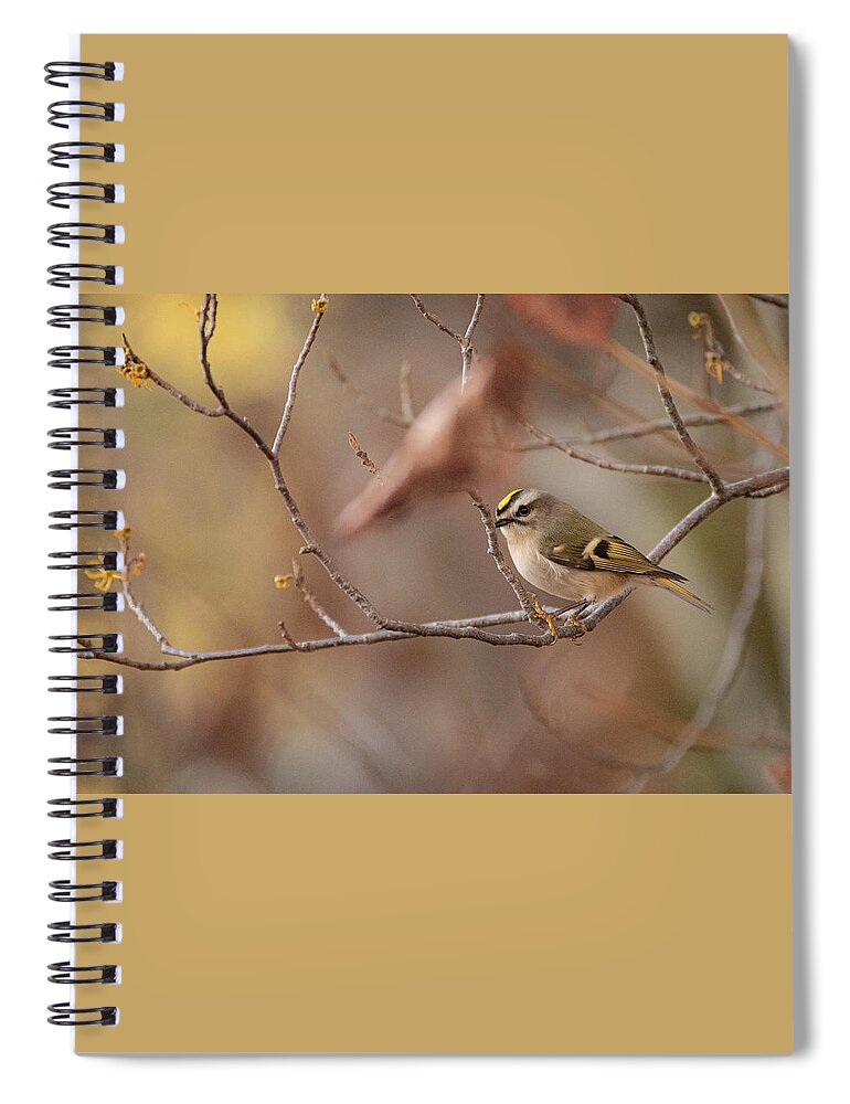 Bird Spiral Notebook featuring the photograph On the Fly by Linda Bonaccorsi