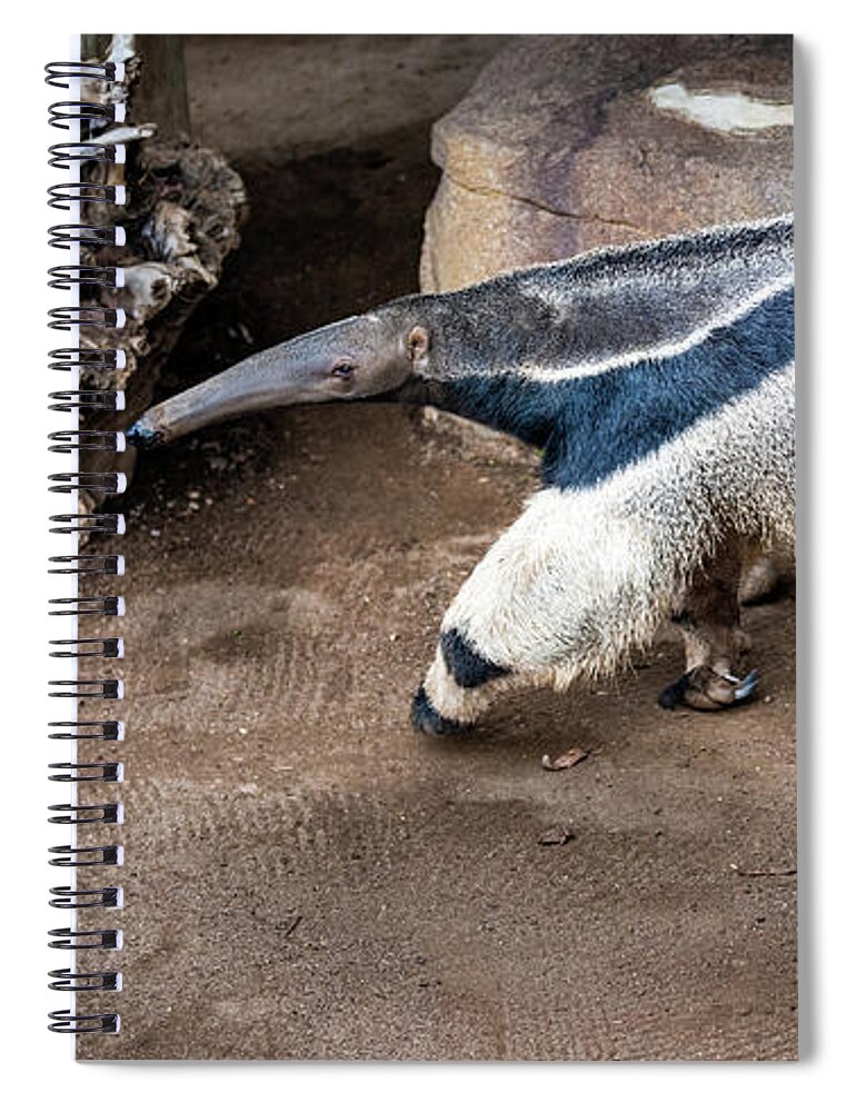 Brown Spiral Notebook featuring the photograph On the Hunt by David Levin