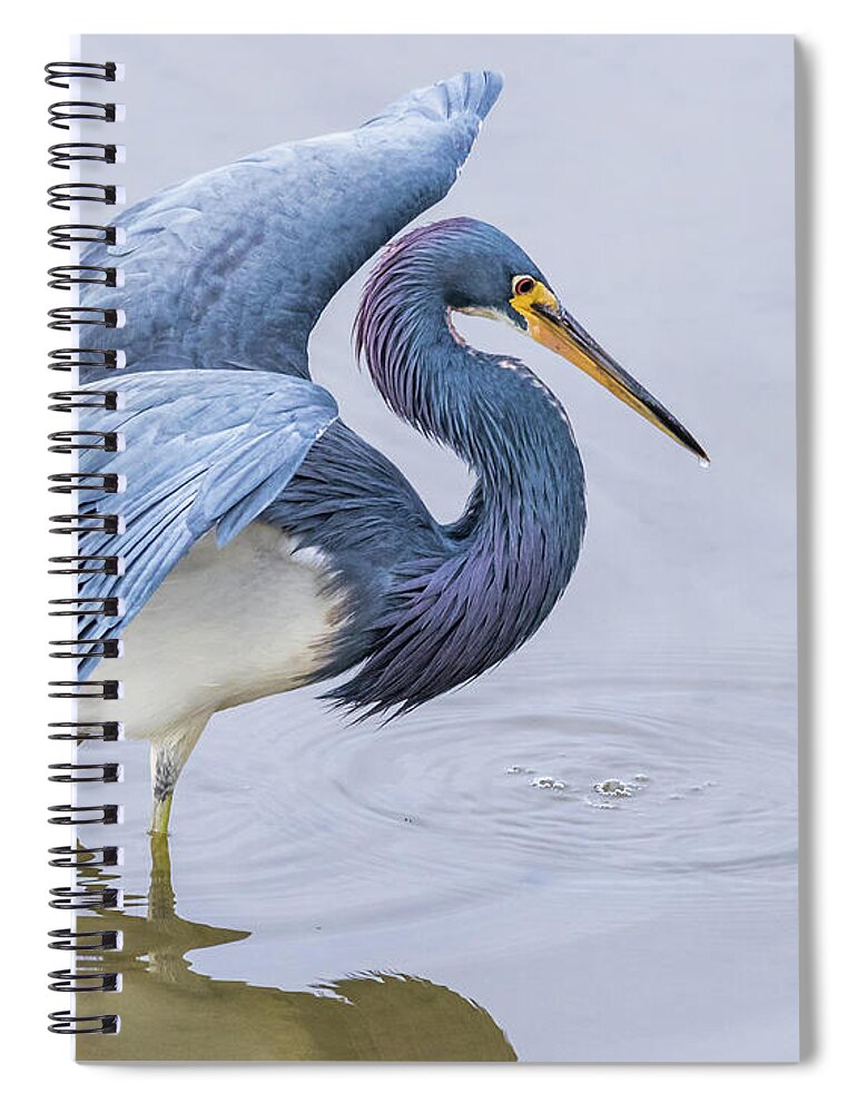 Little Blue Heron Spiral Notebook featuring the photograph On The Hunt by Jim Miller