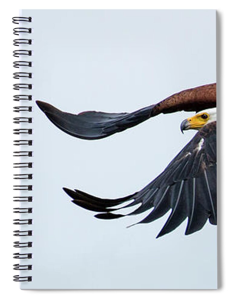 Africa Spiral Notebook featuring the photograph On the Hunt by Phil Marty