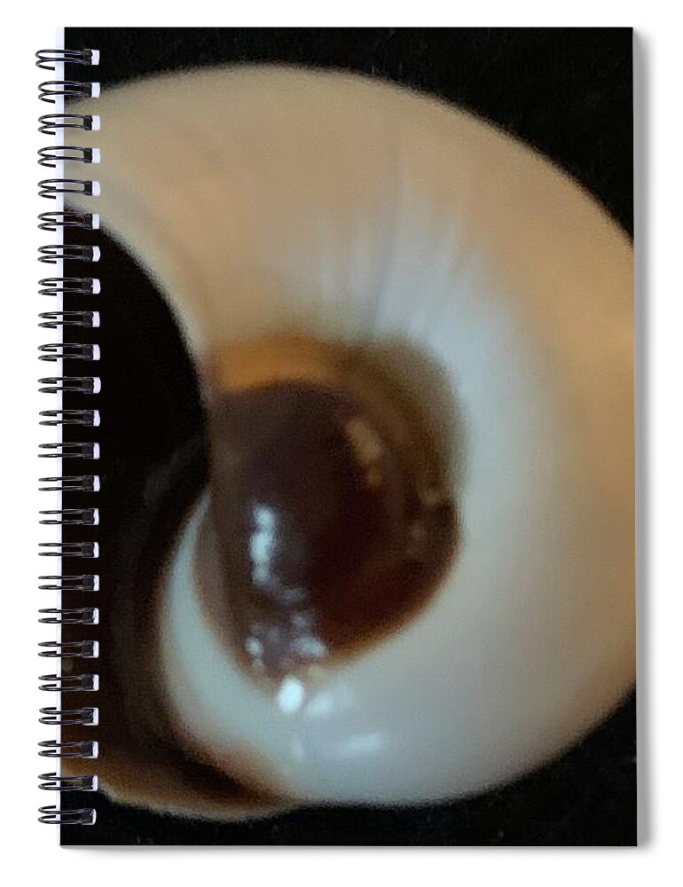 Ocean Shell Spiral Notebook featuring the photograph On the other side by Catherine Wilson