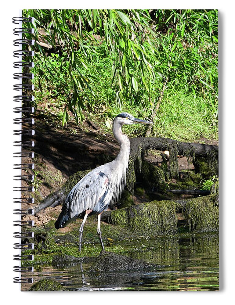 Norris Dam State Park Spiral Notebook featuring the photograph On The Road 4 by Phil Perkins